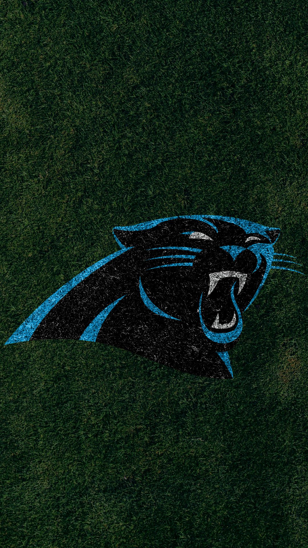 Download Carolina Panthers wallpaper