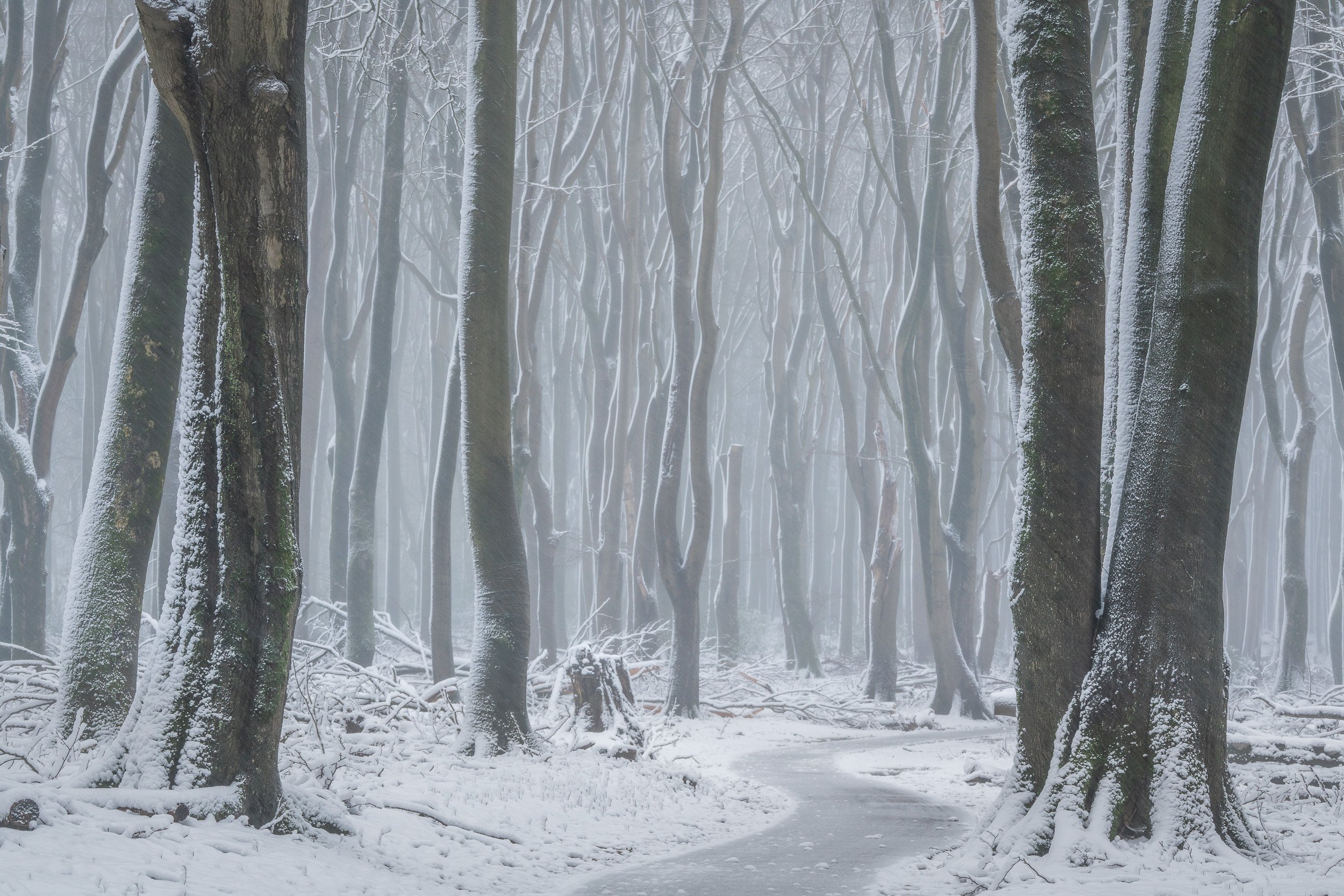 Mesmerising winter conditions in a