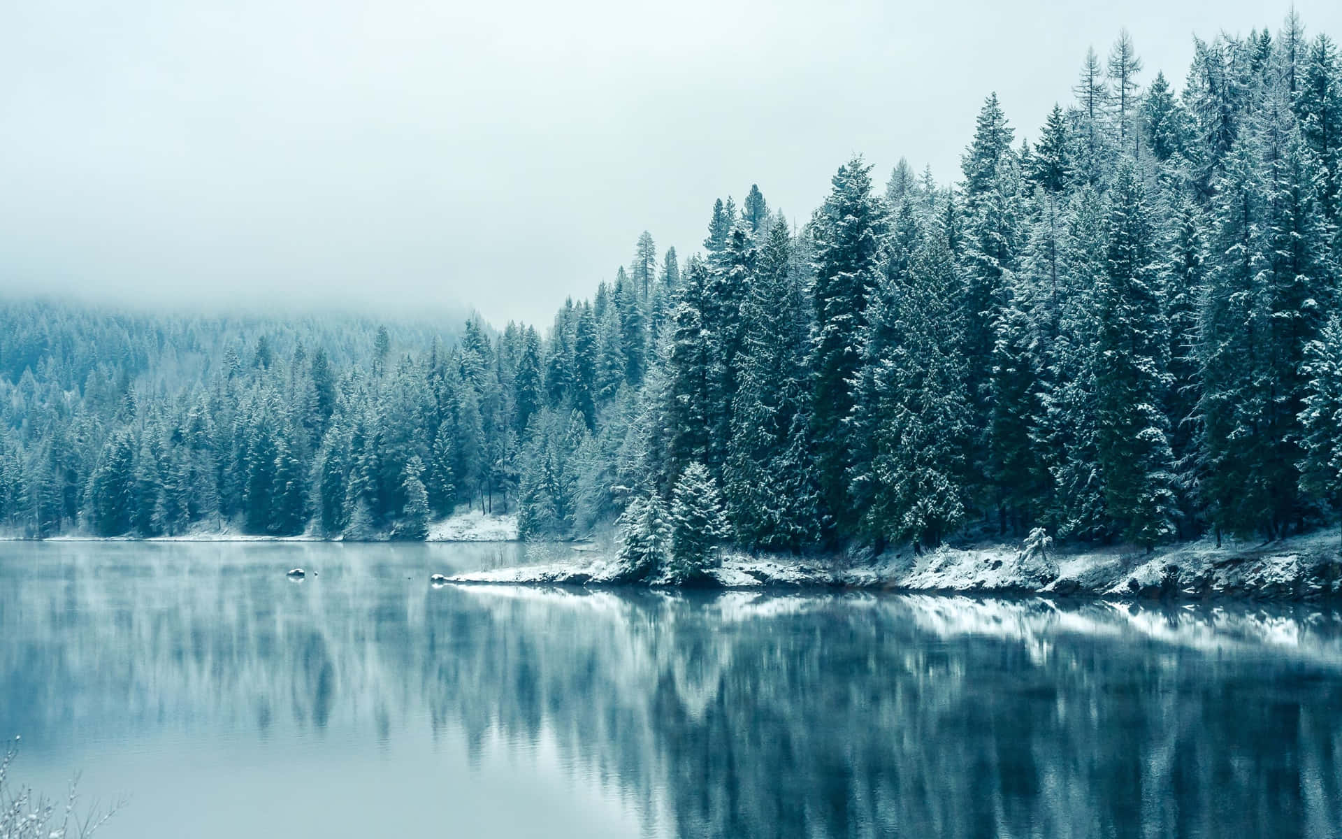 Download HD Winter Background Foggy