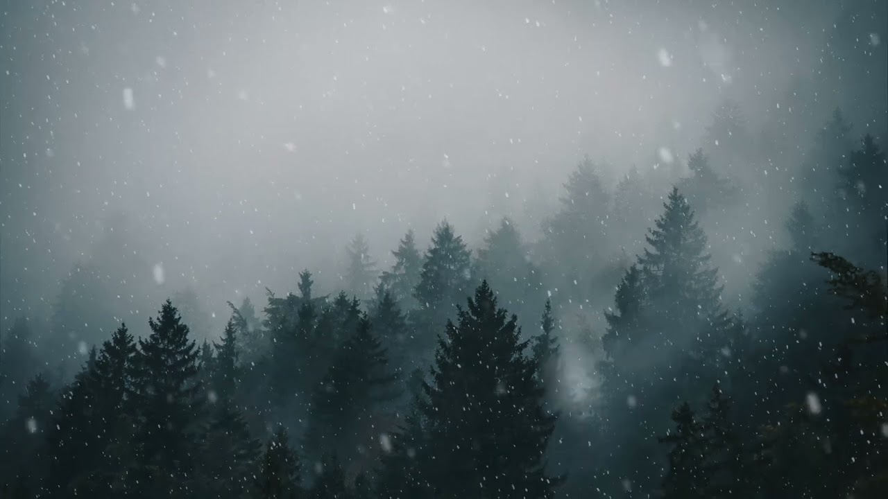 winter forest snow 4k live wallpaper