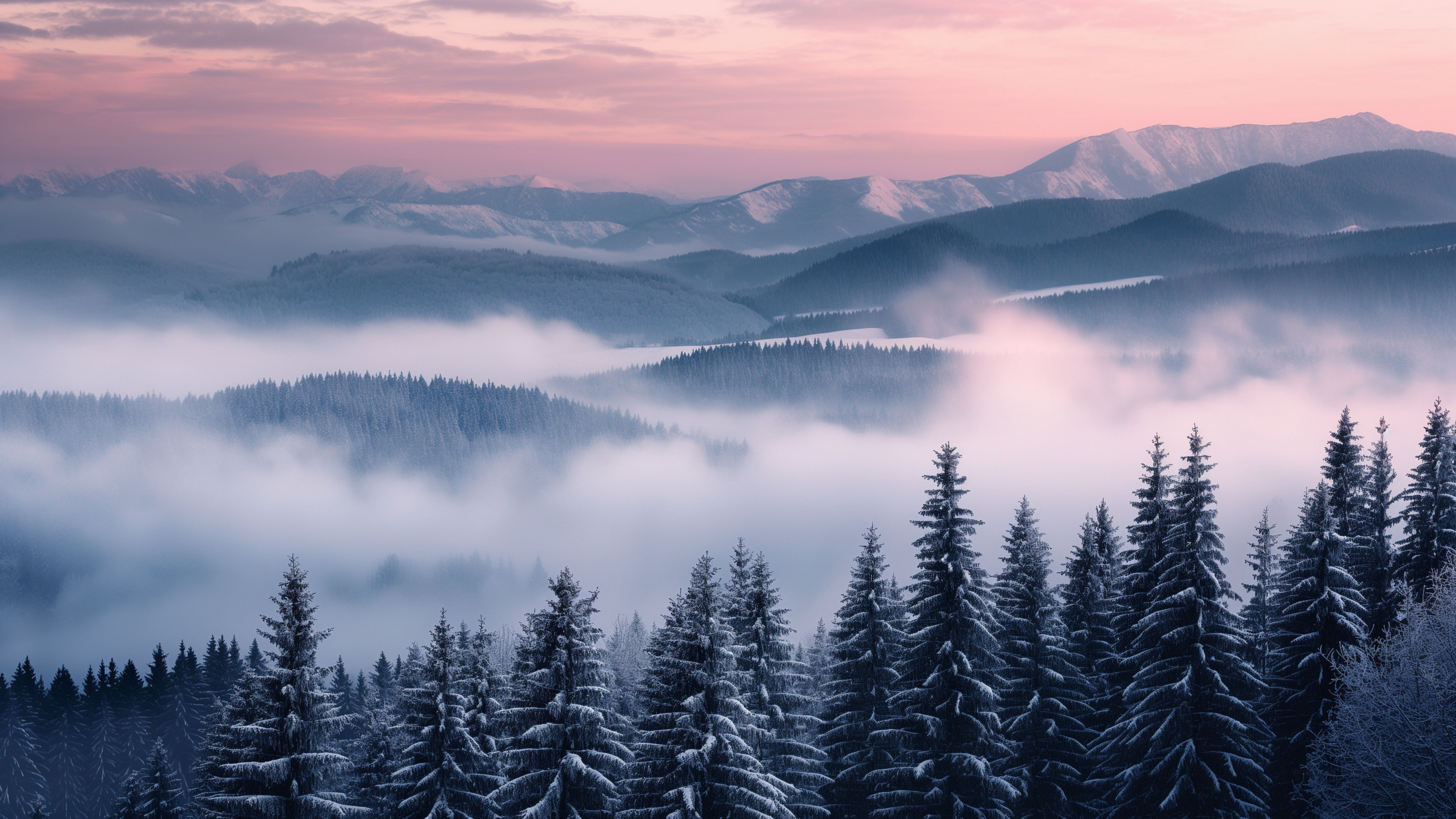 Slovakia Wallpaper, Fog, Nature