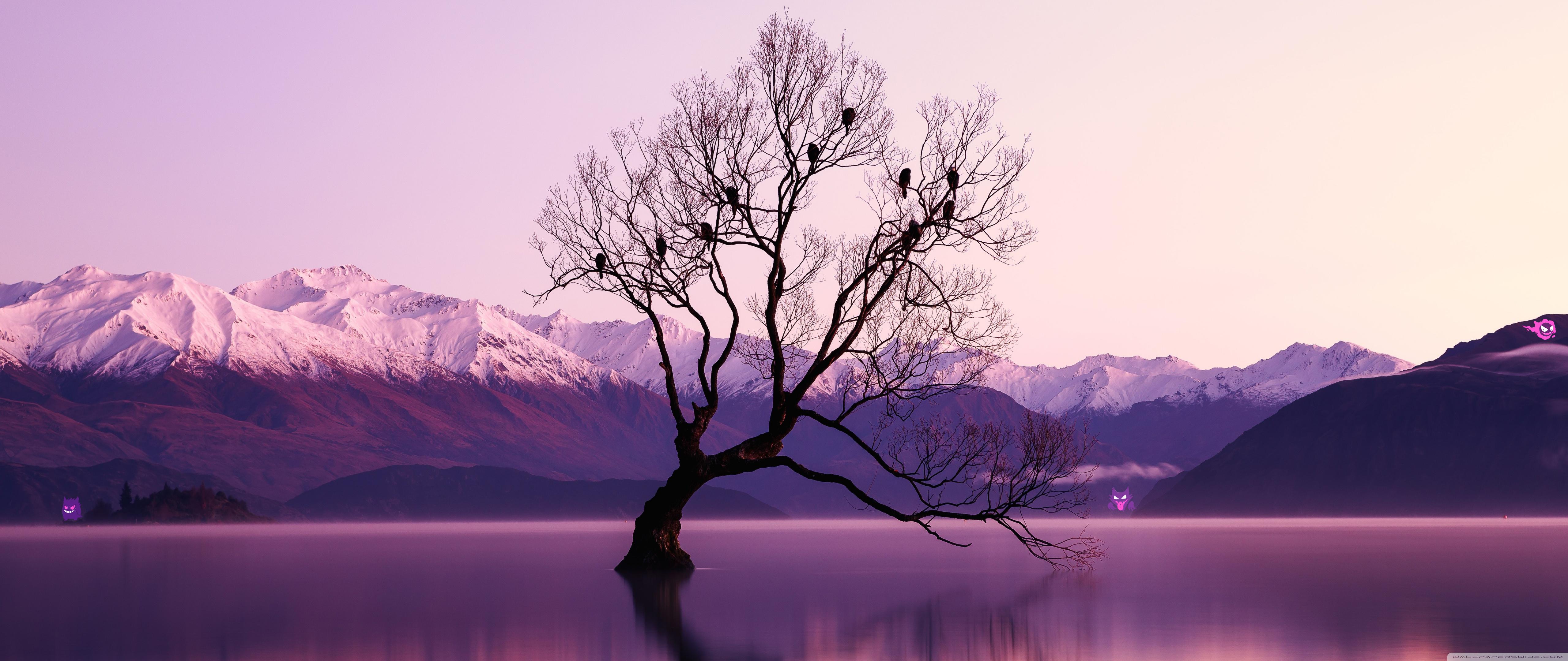 Ghostly Lavender Pokemon Ultra Wide