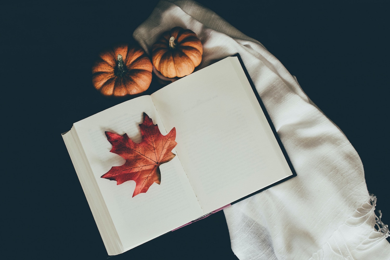 More Haunting Poems to Get You