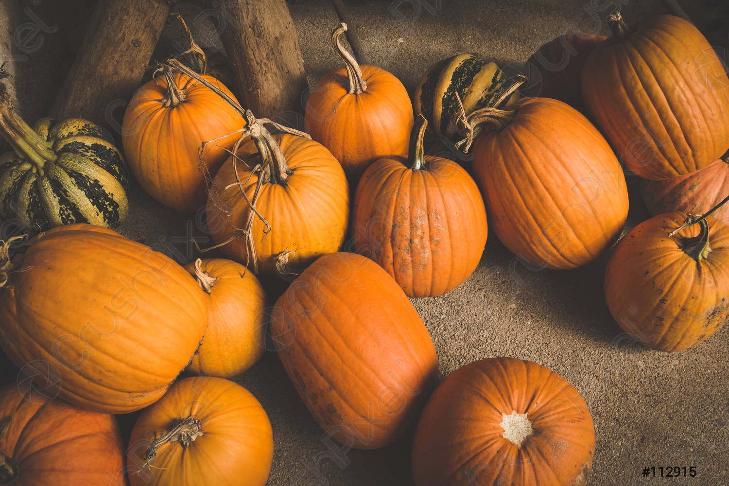 Autumn Pumpkin Thanksgiving