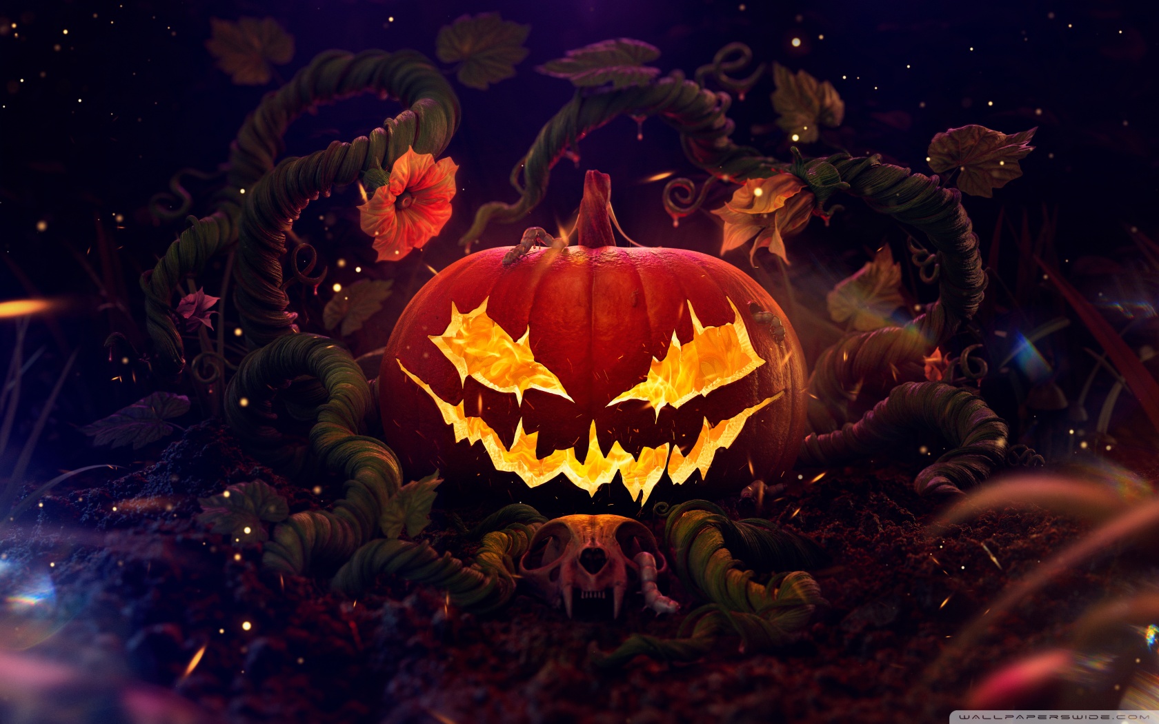 Halloween, Spooky Jack O Lantern 2024