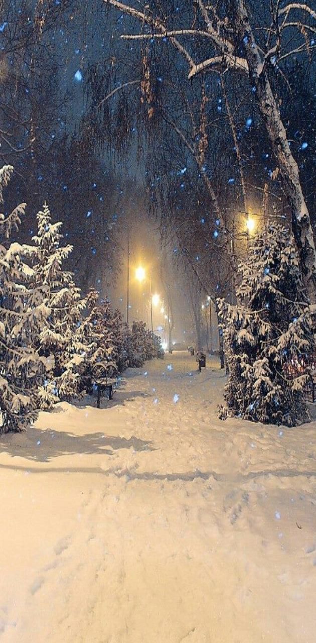 winter snowfall wallpaper