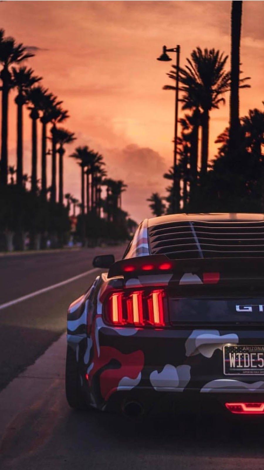 Mustang with plams