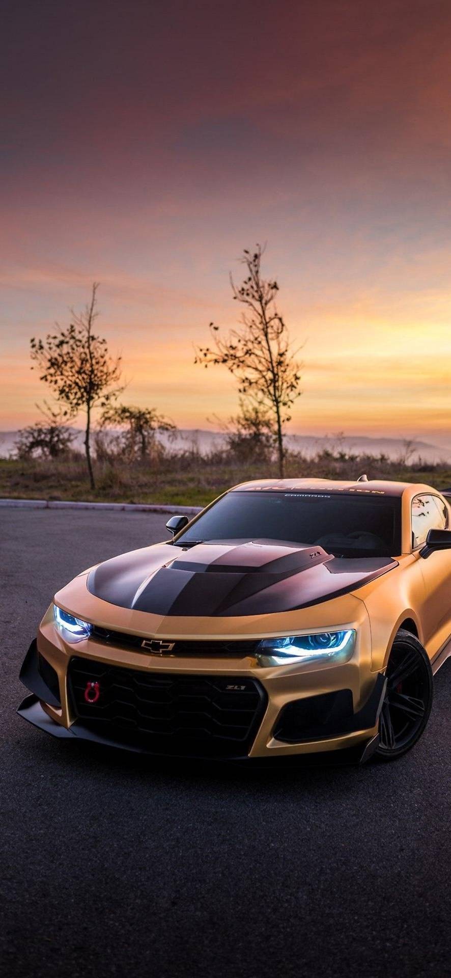 Best wallpaper for Bike and car lovers