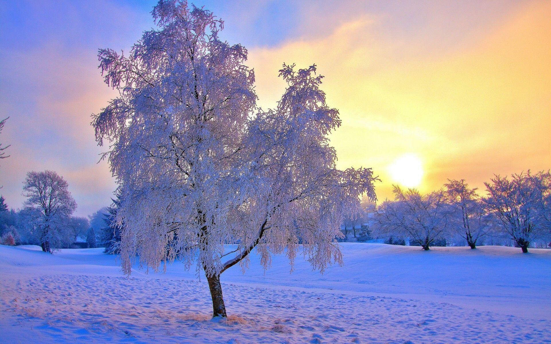 Winter Sunshine Wallpapers - Wallpaper Cave