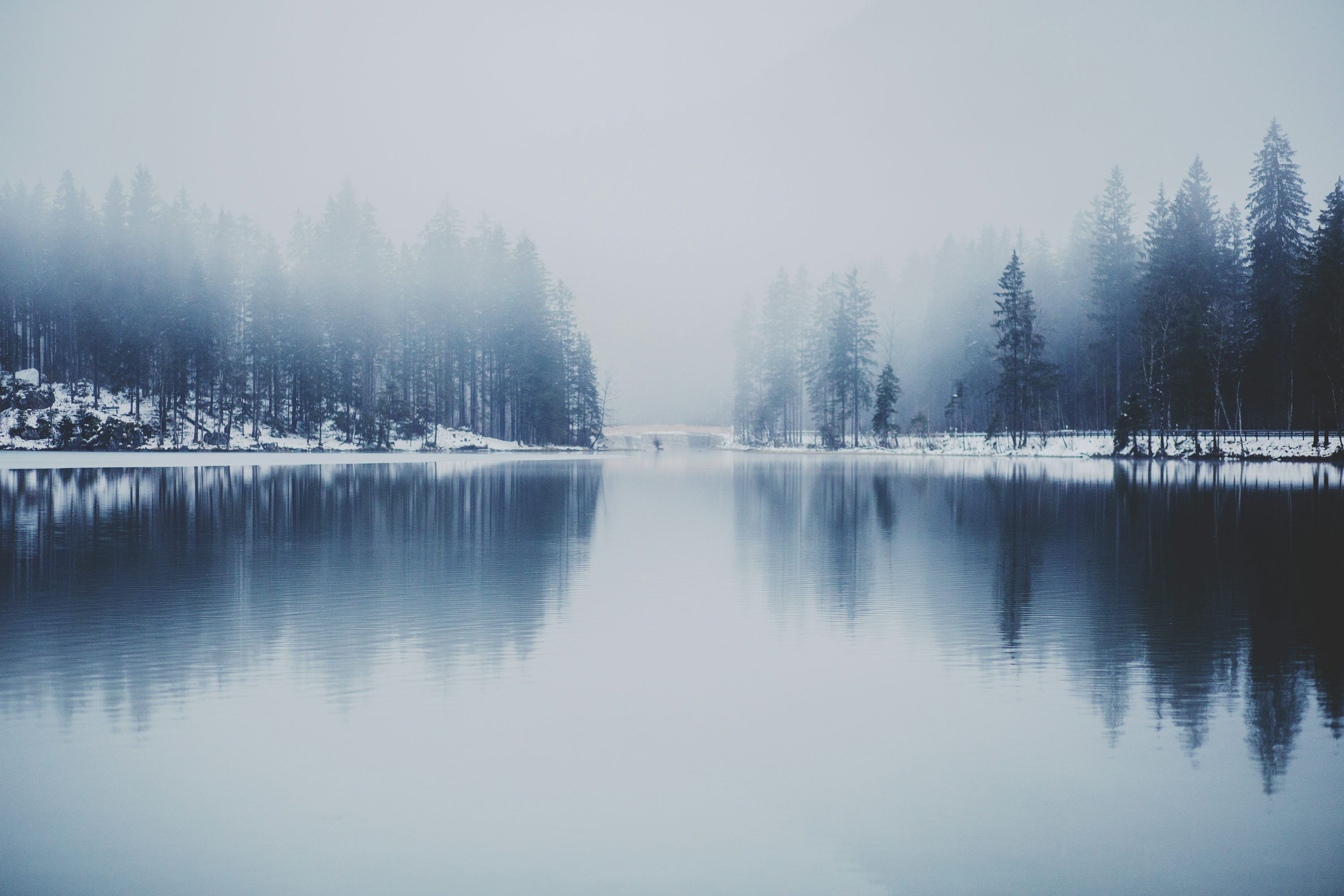 Winter Wallpaper: Free HD Download