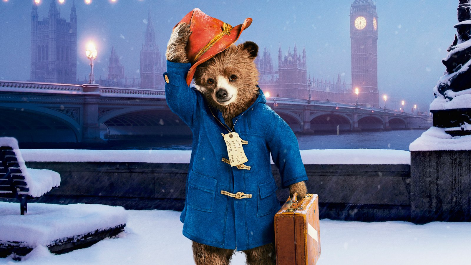 Paddington Bear Movie HD Wallpaper