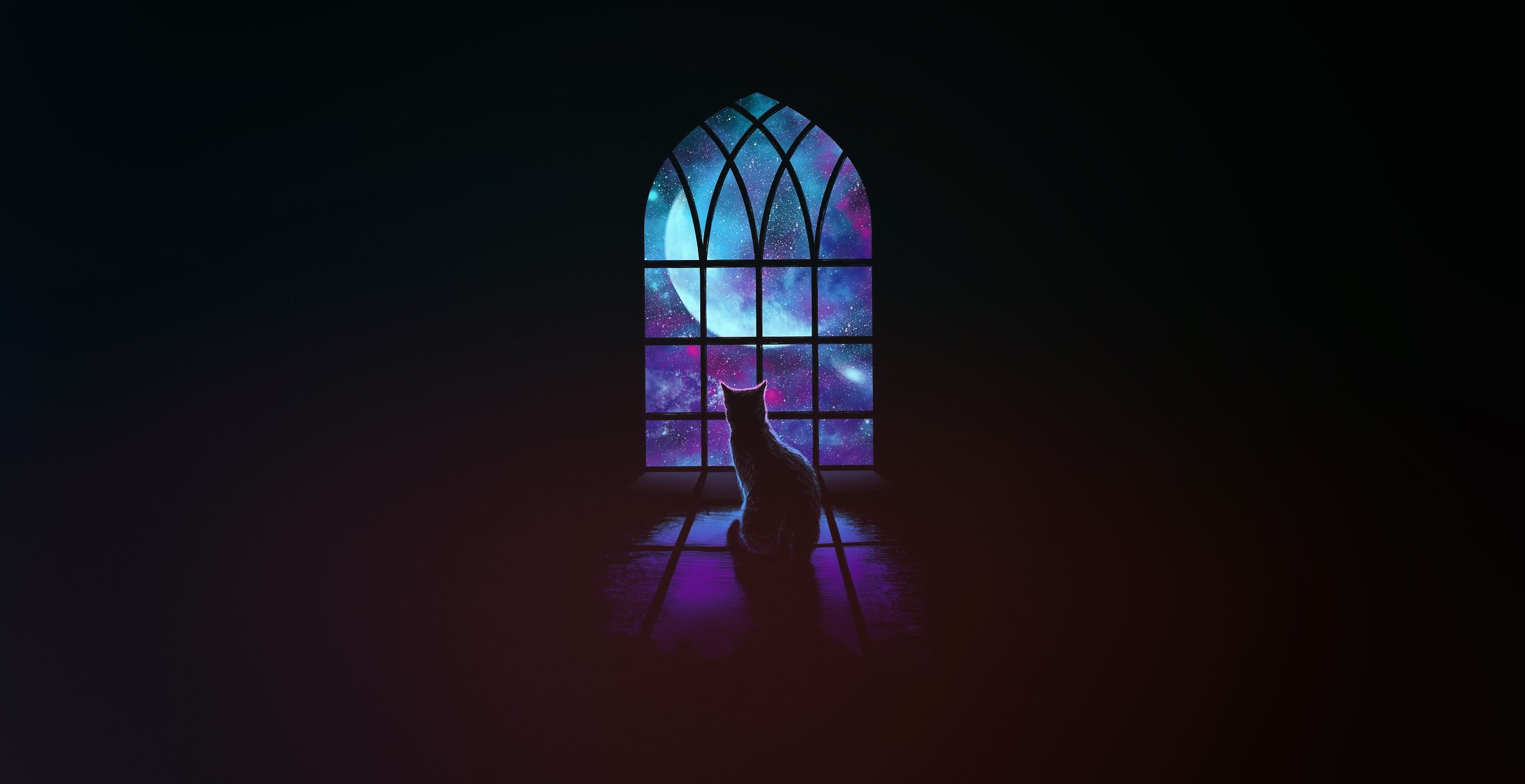 Full Moon Window Fantasy Cat HD Wallpaper