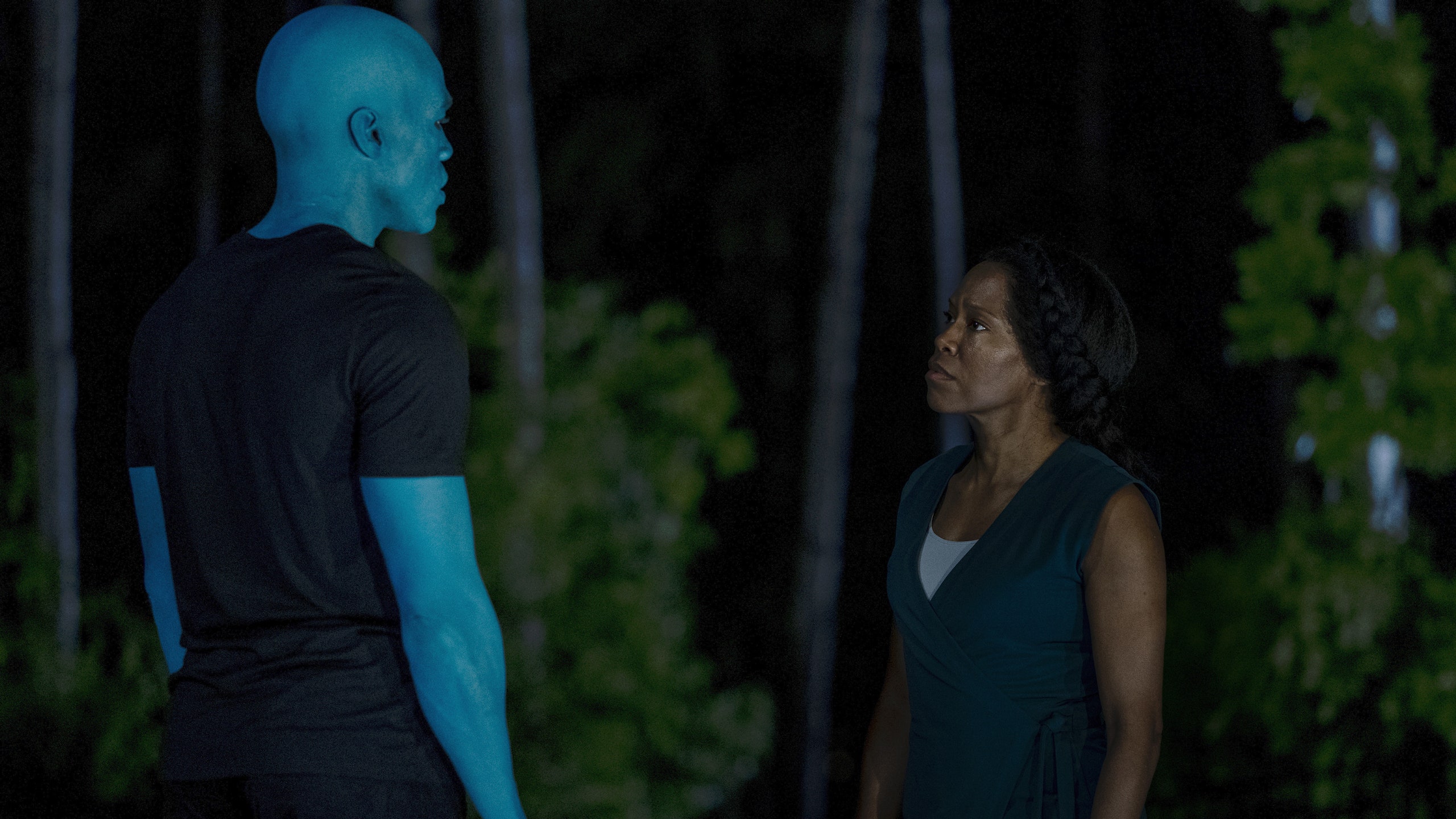 Black Americans Shape History