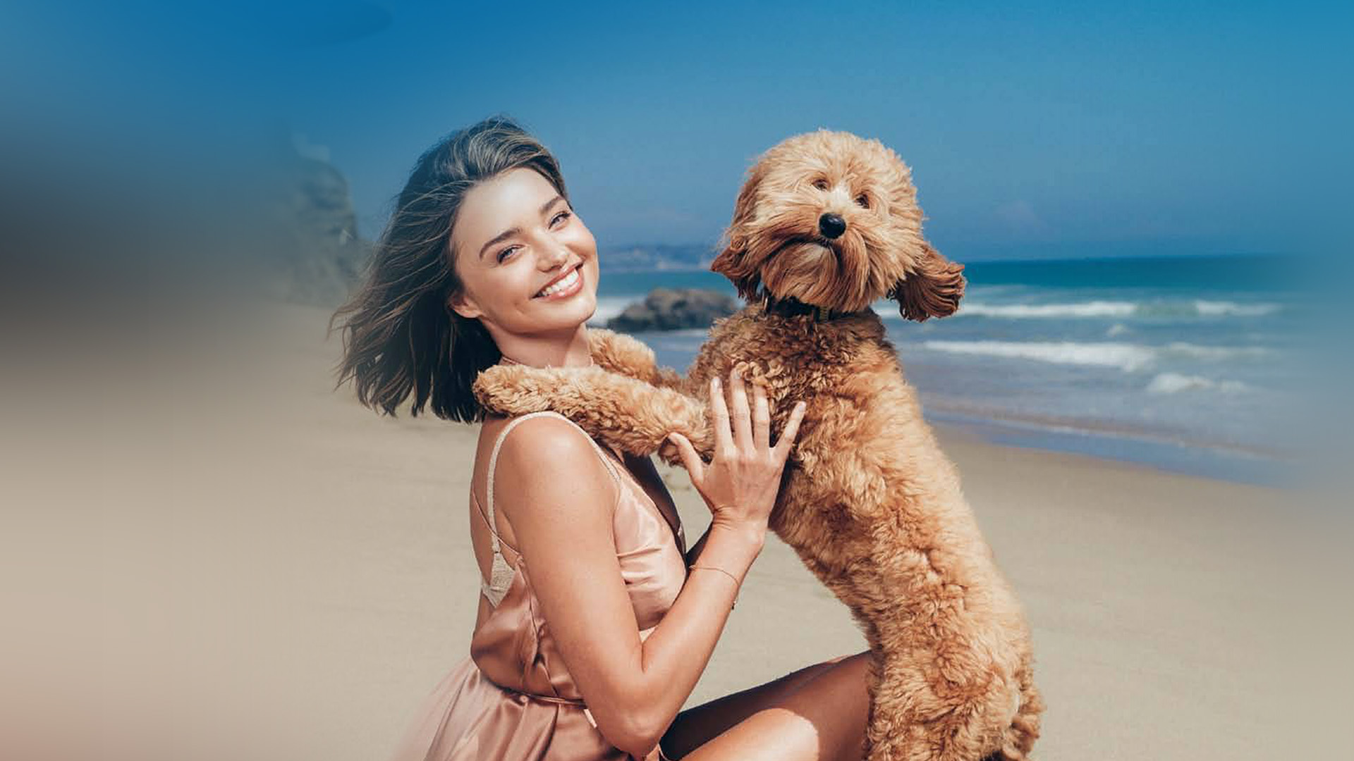 wallpaper for desktop, laptop. hr11