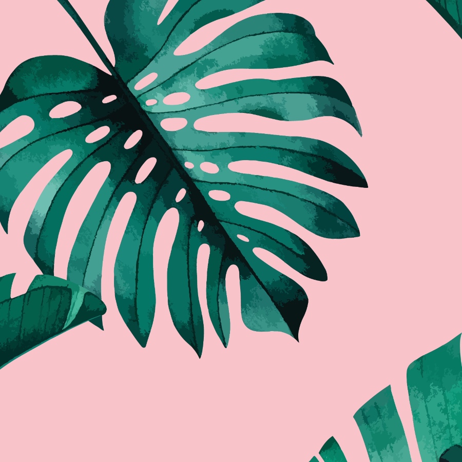 Pink Tropical Leaf Wallpaper Peel