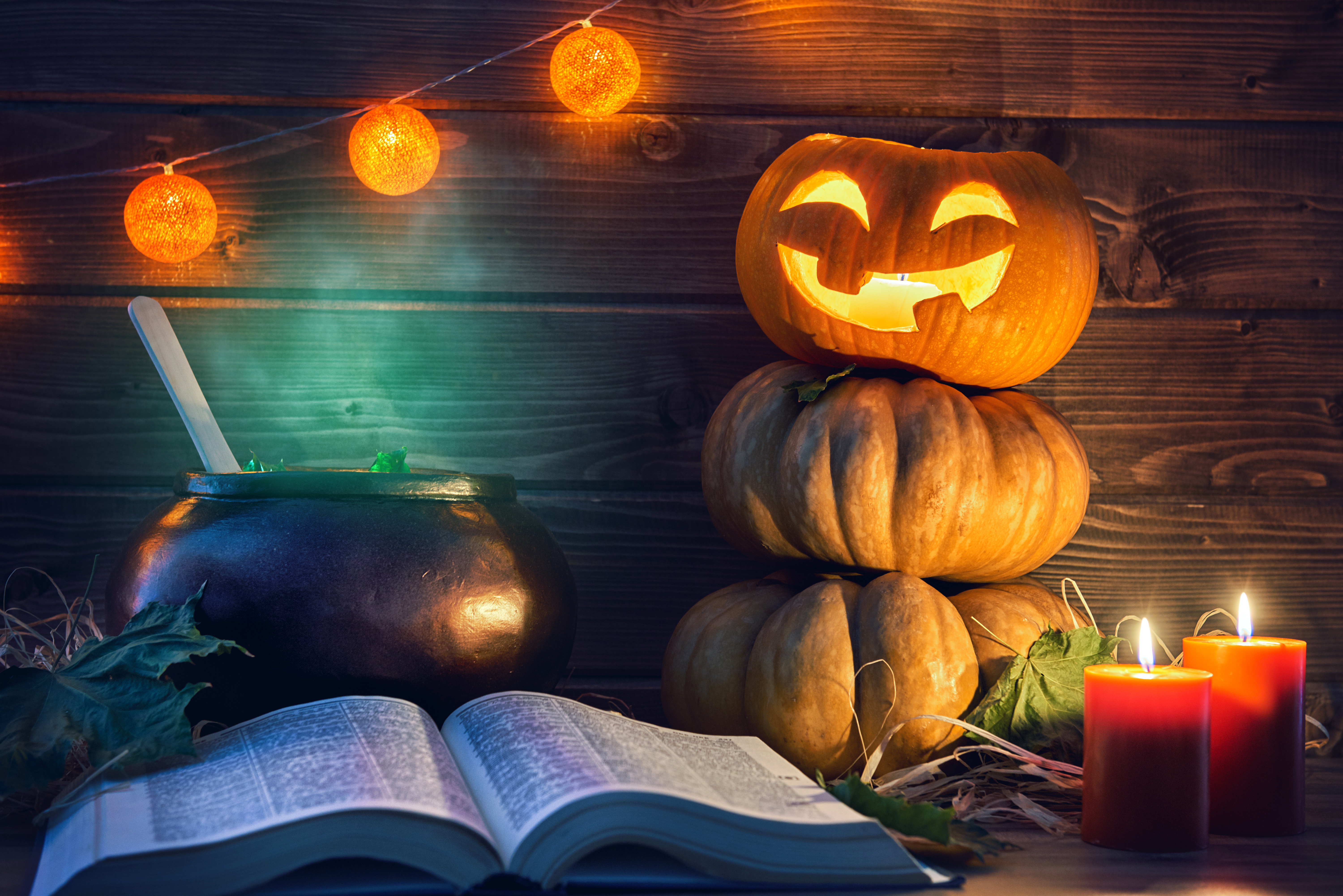 o'-lantern Pumpkin Holiday Halloween 4k
