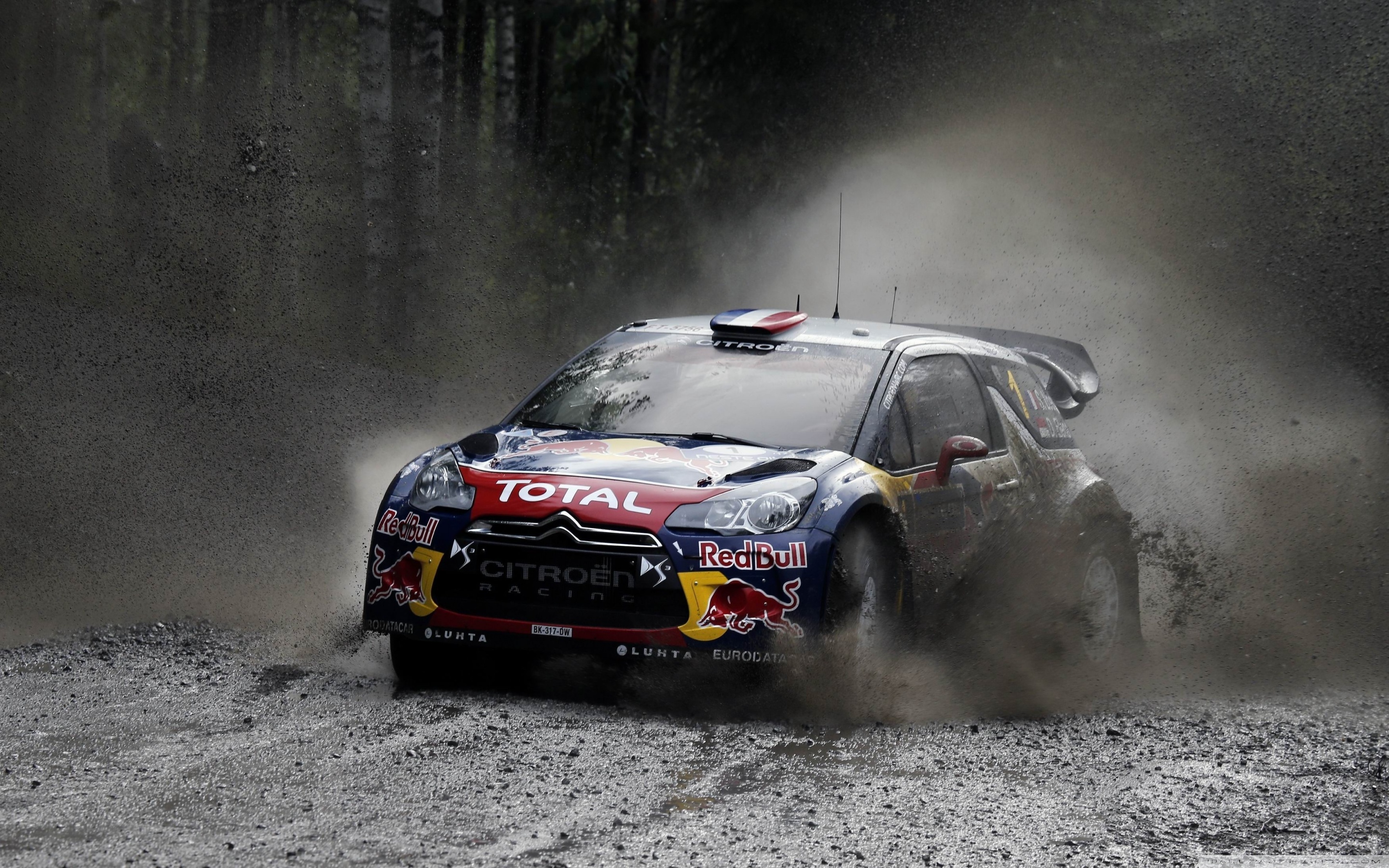 Citroen Rally WRC Redbull Ultra HD