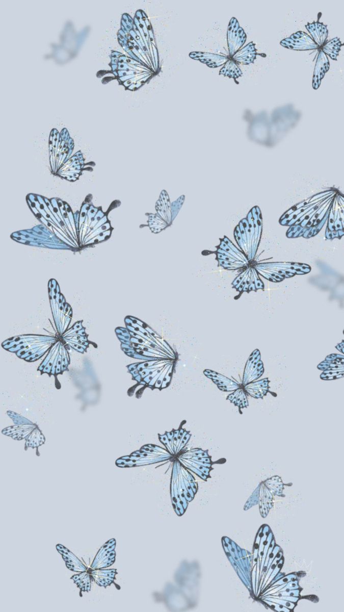 FREE PHONE WALLPAPERS. Blue butterfly