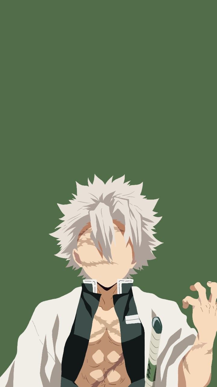 Shinazugawa Sanemi. Wallpaper