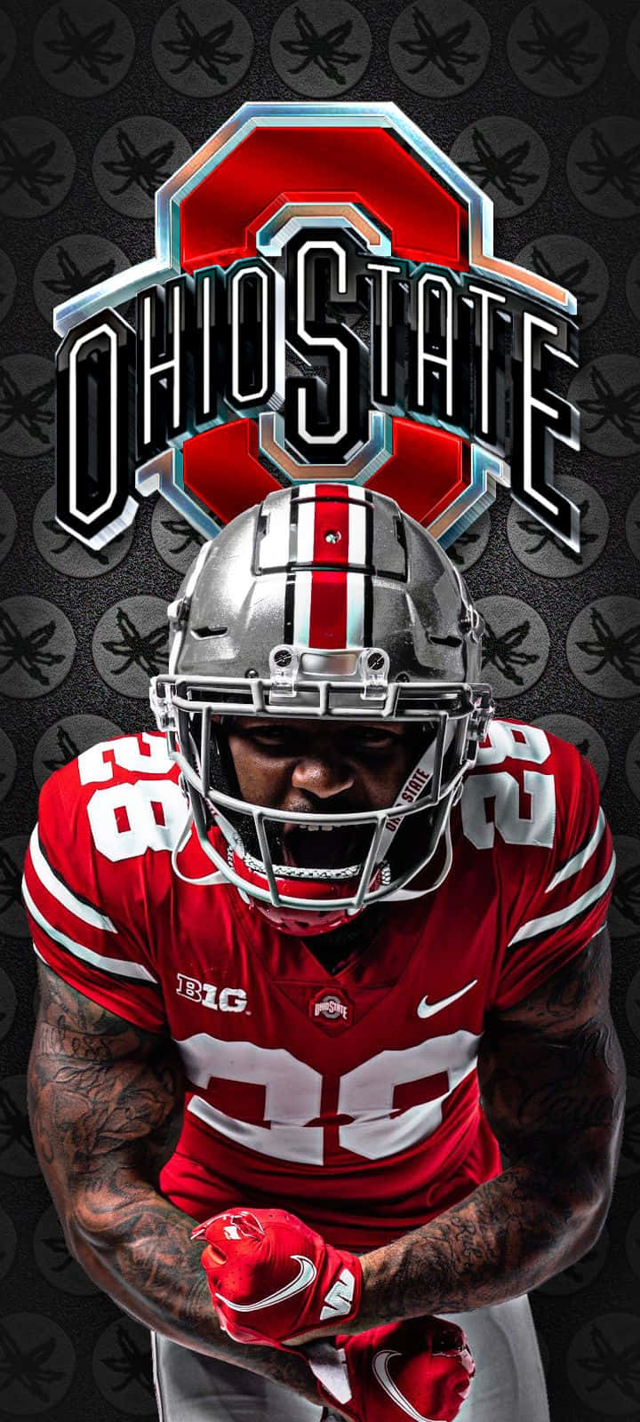 Ohio State Football IPhone Player