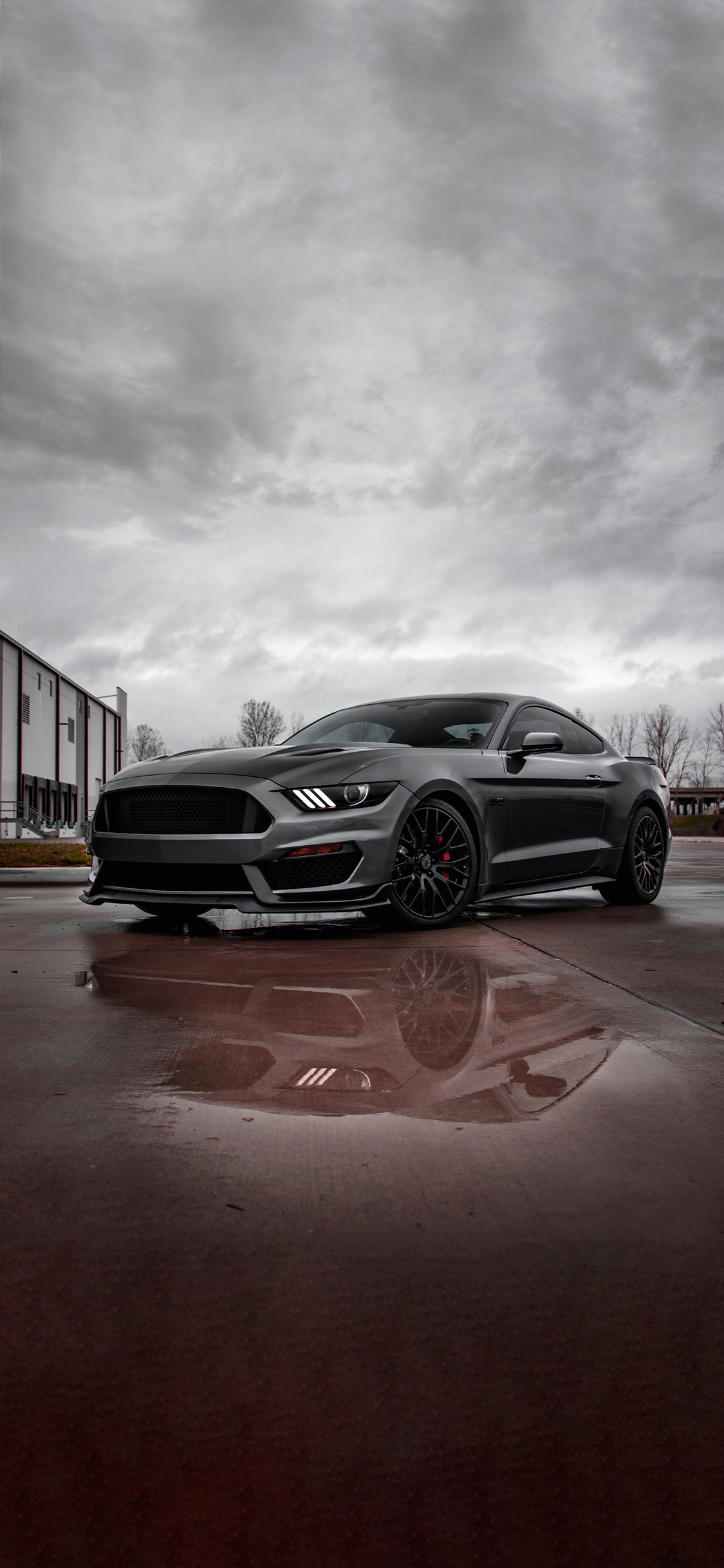 Sized for Phone Wallpaper!