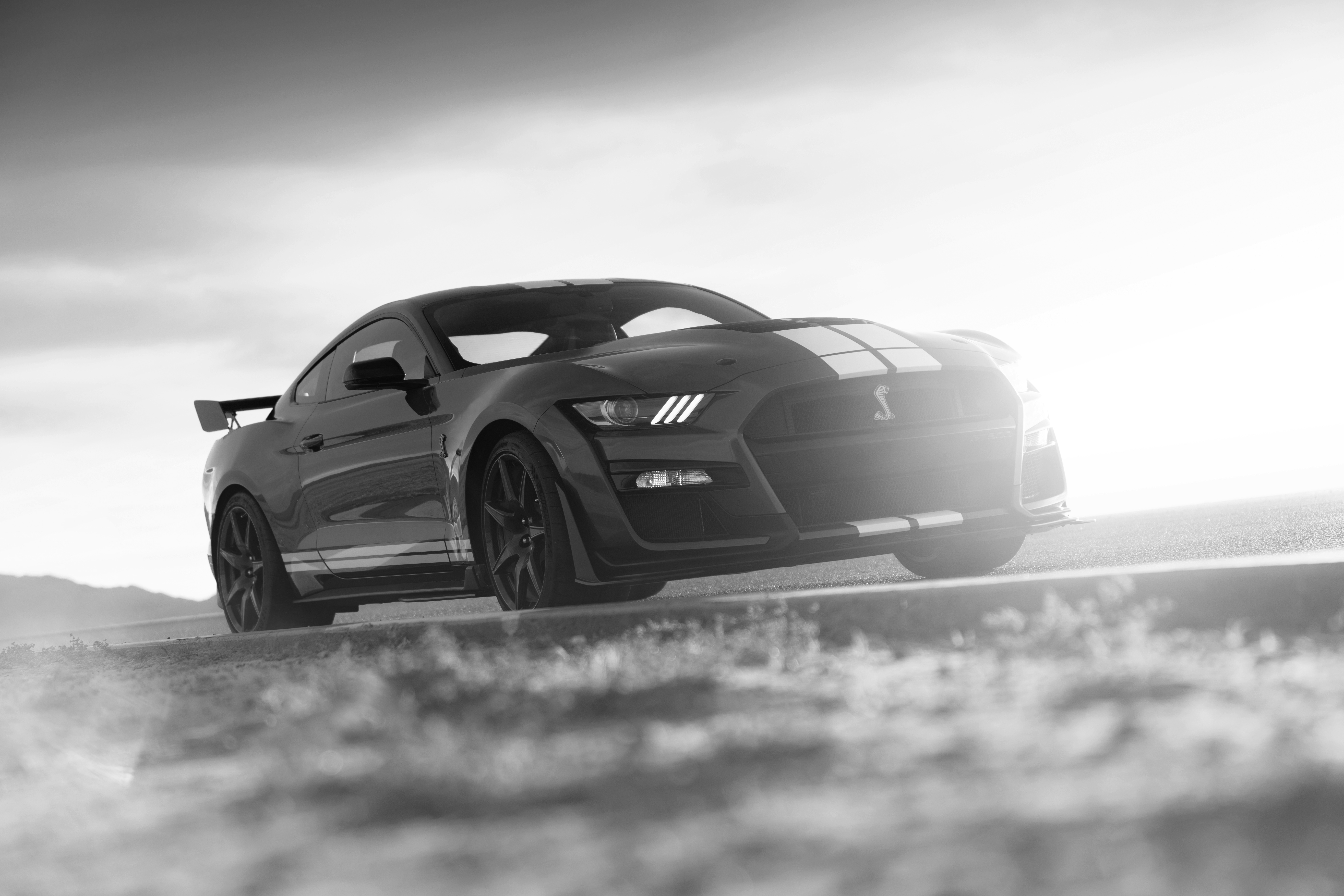 Download Muscle Car Black & White Car Ford Mustang Shelby Ford Vehicle Ford Mustang Shelby GT500 8k Ultra HD Wallpaper
