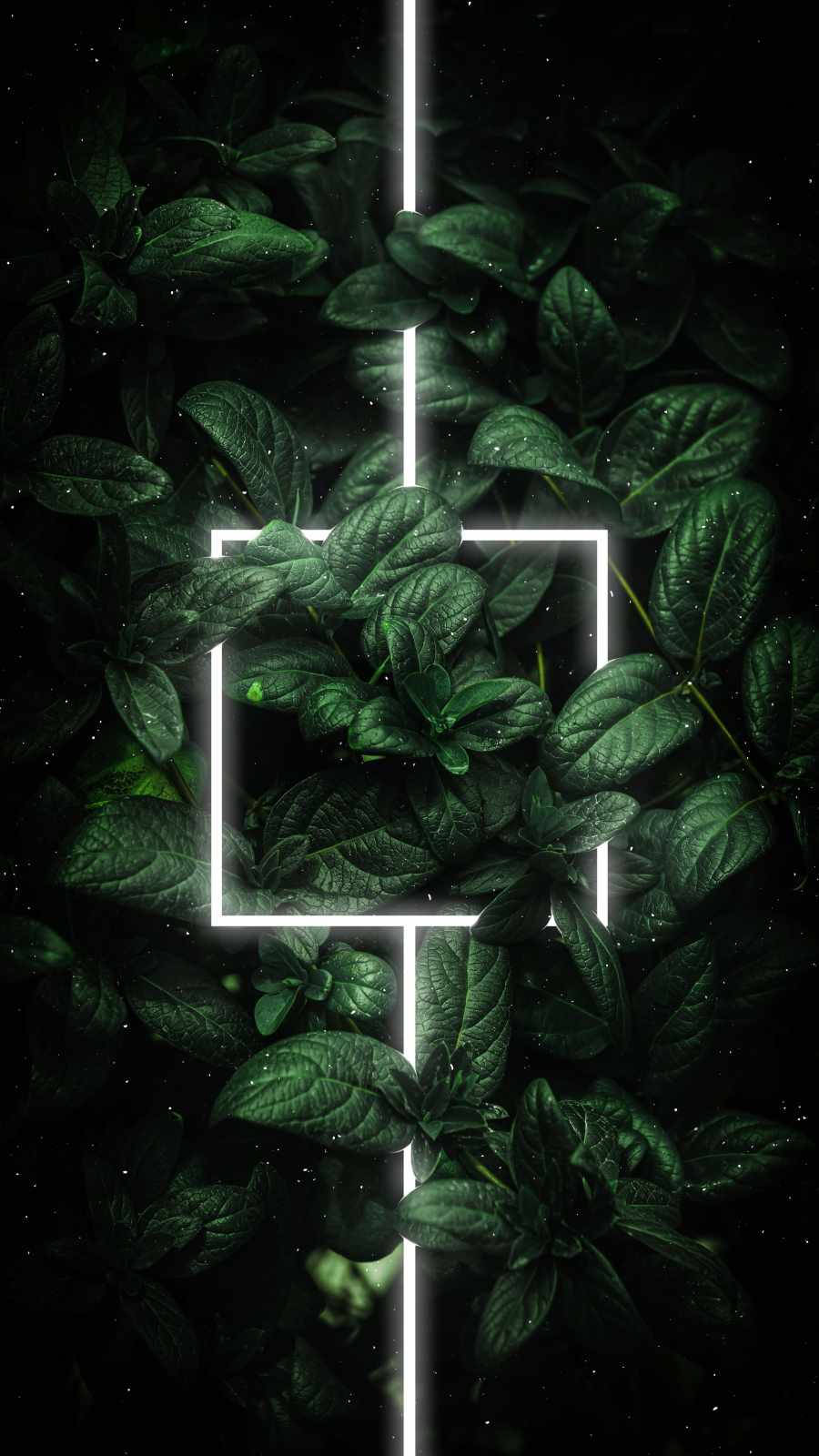 Leaves Green iPhone Wallpaper