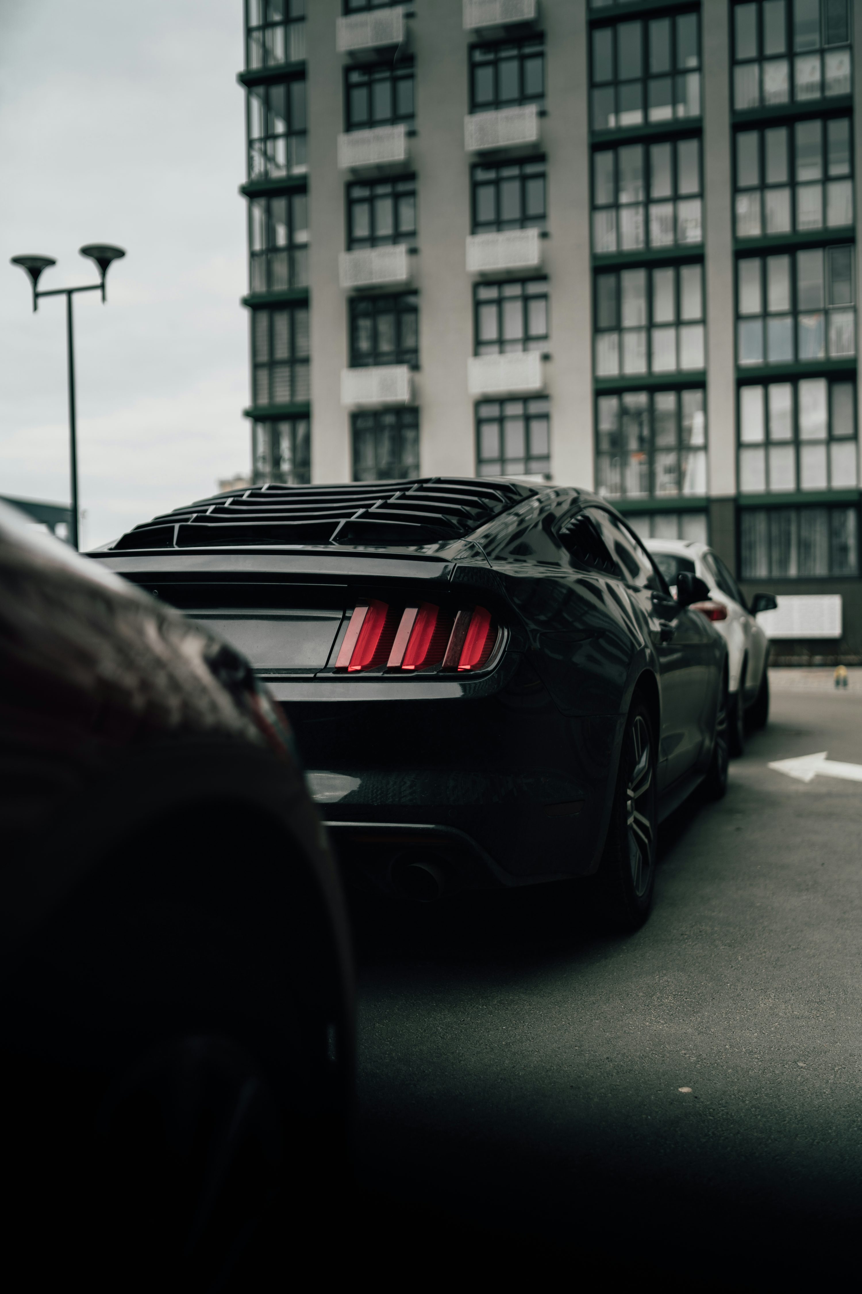 Ford Mustang Gt Picture