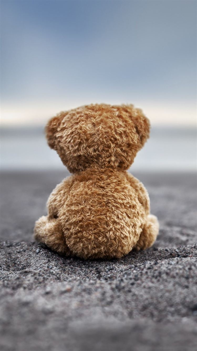 Bear Doll Back Lonely Ground iPhone 8