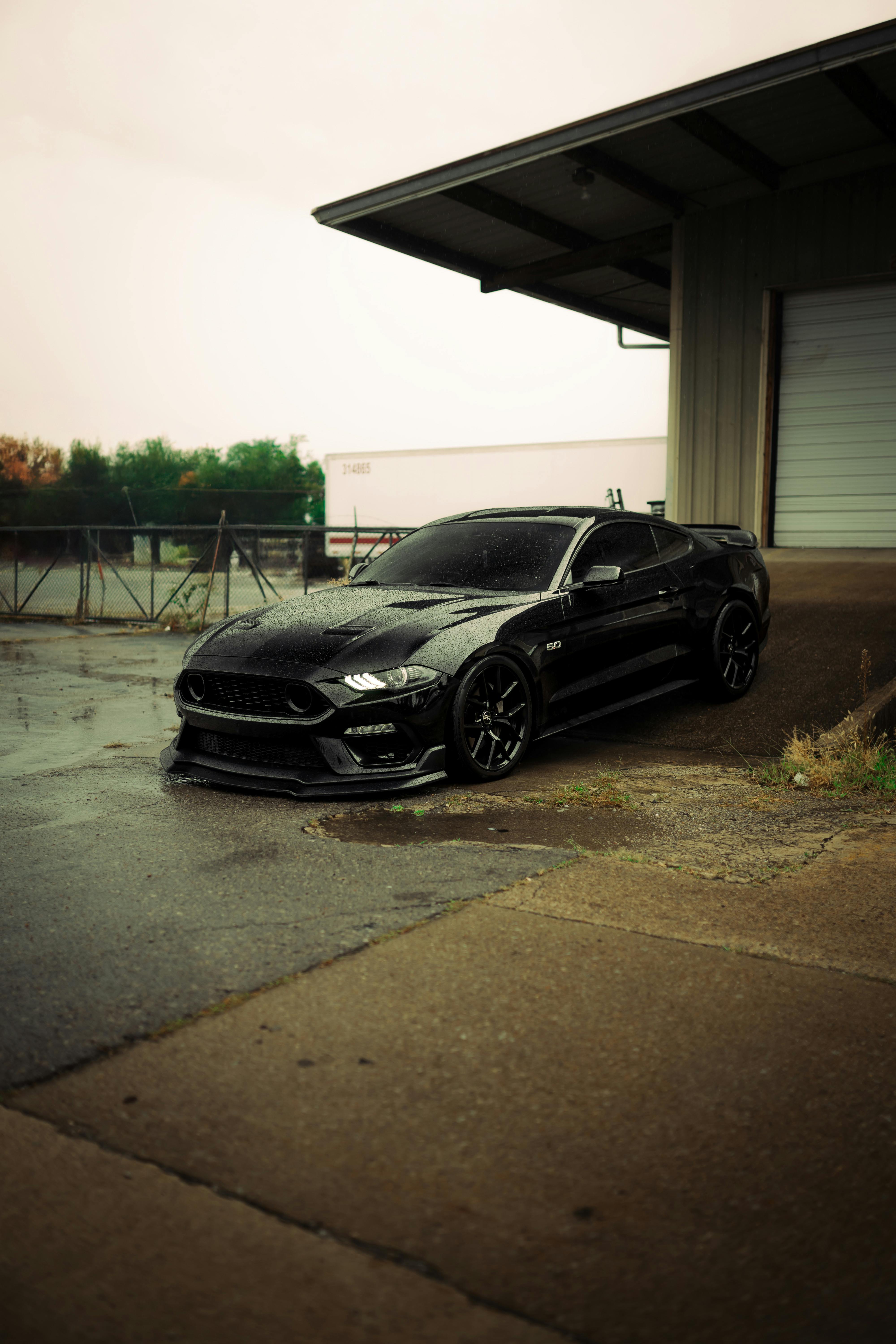 Mustang Gt Photo, Download The BEST