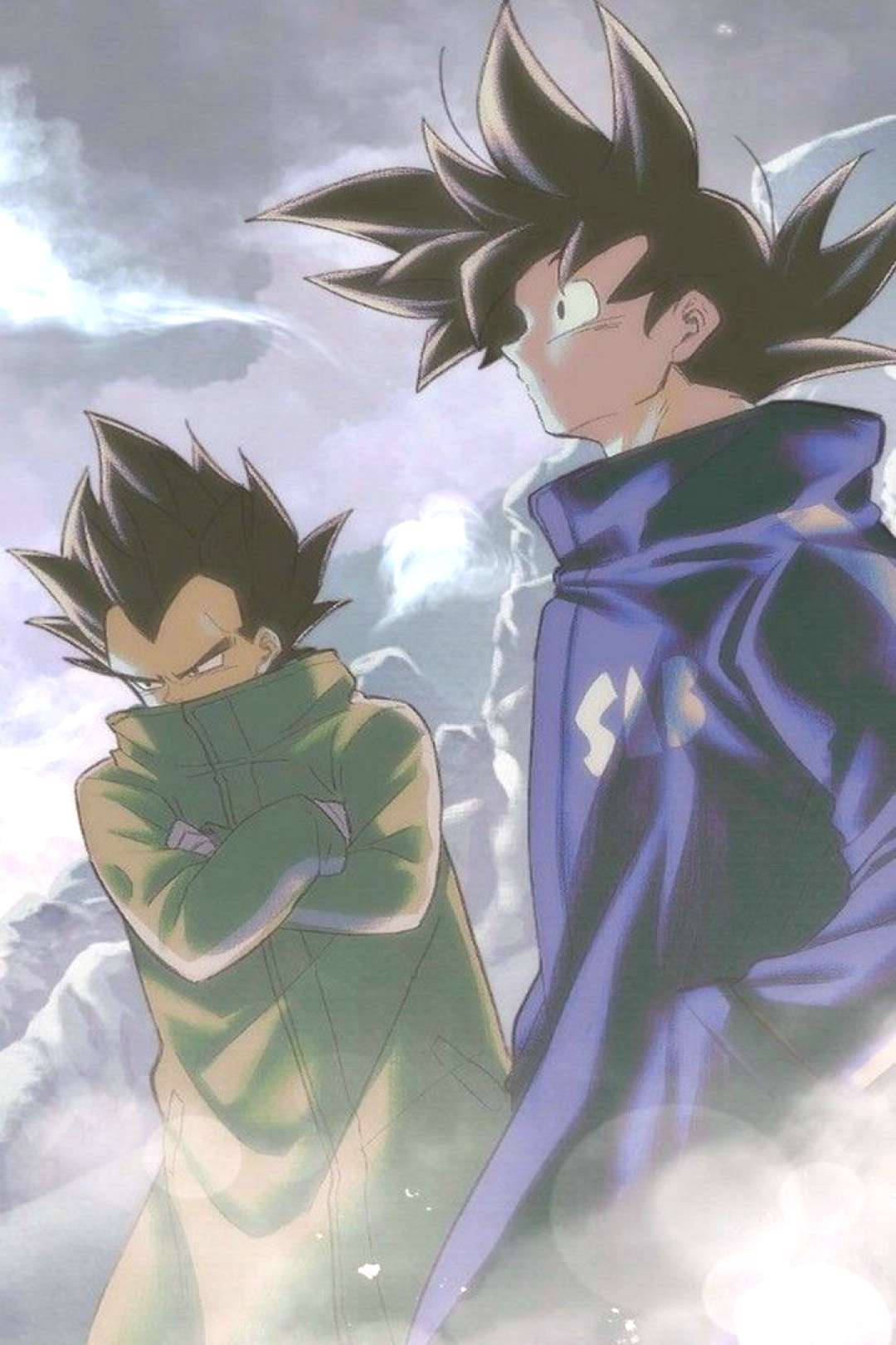 Vegeta And Son Goku iPhone Wallpaper