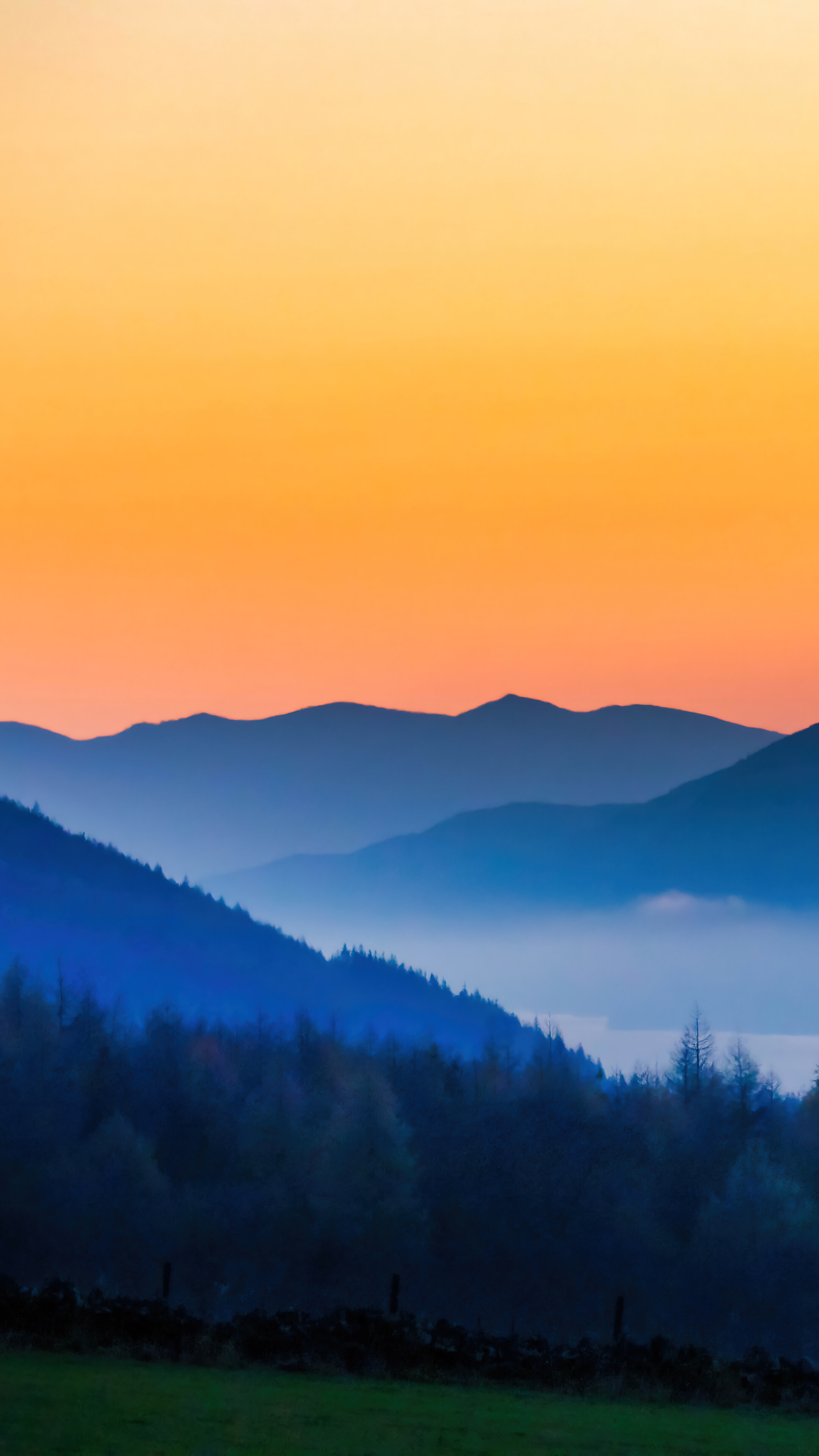 Forest Mountain Fog Nature Scenery 4K