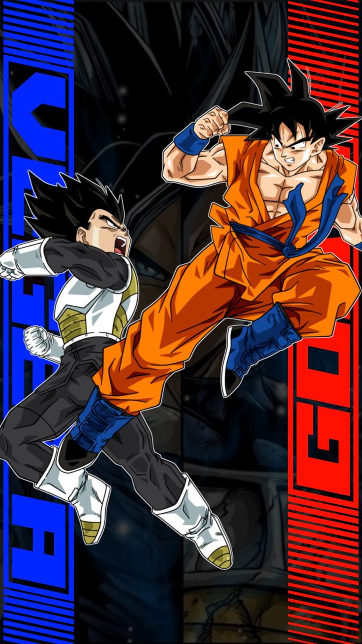 Goku Vegeta Fight 4