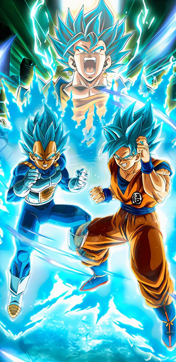 LR Goku & Vegeta Super Saiyan God SS 4K