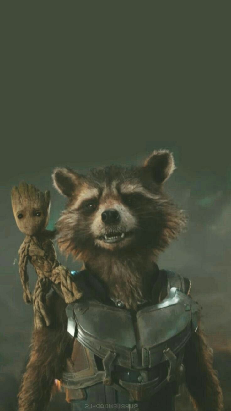 Rocket Raccoon