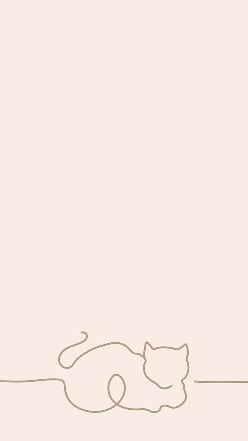 Sleeping On A Pink Background Wallpaper