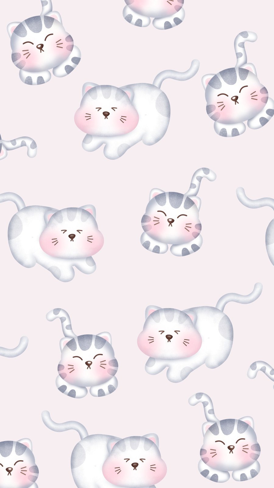cute cat wallpaper