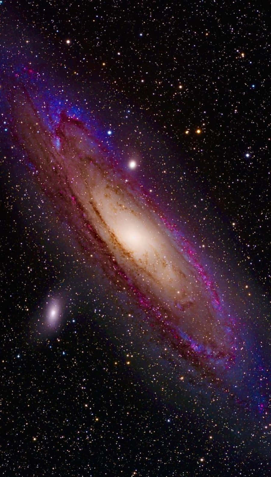Cosmos Wallpaper