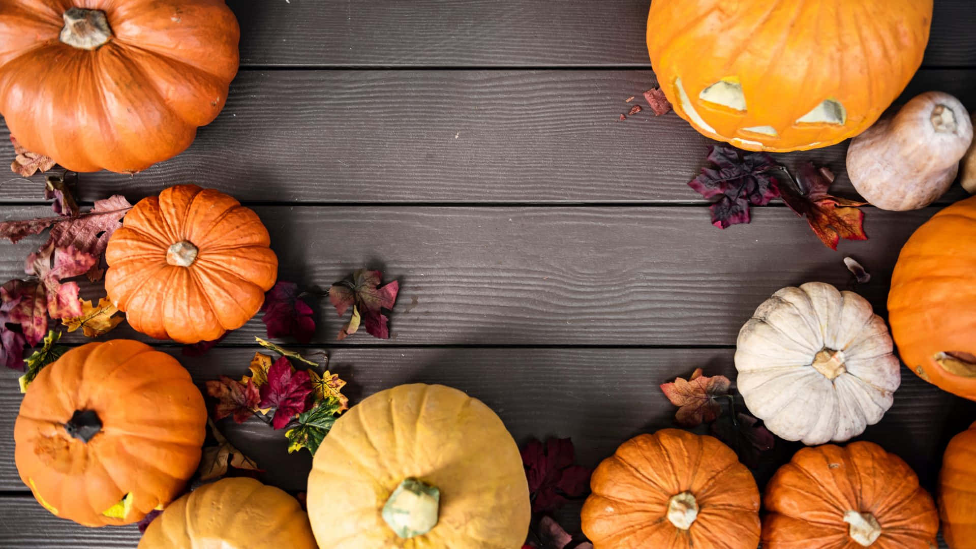 Delightful Autumn Pumpkin Background