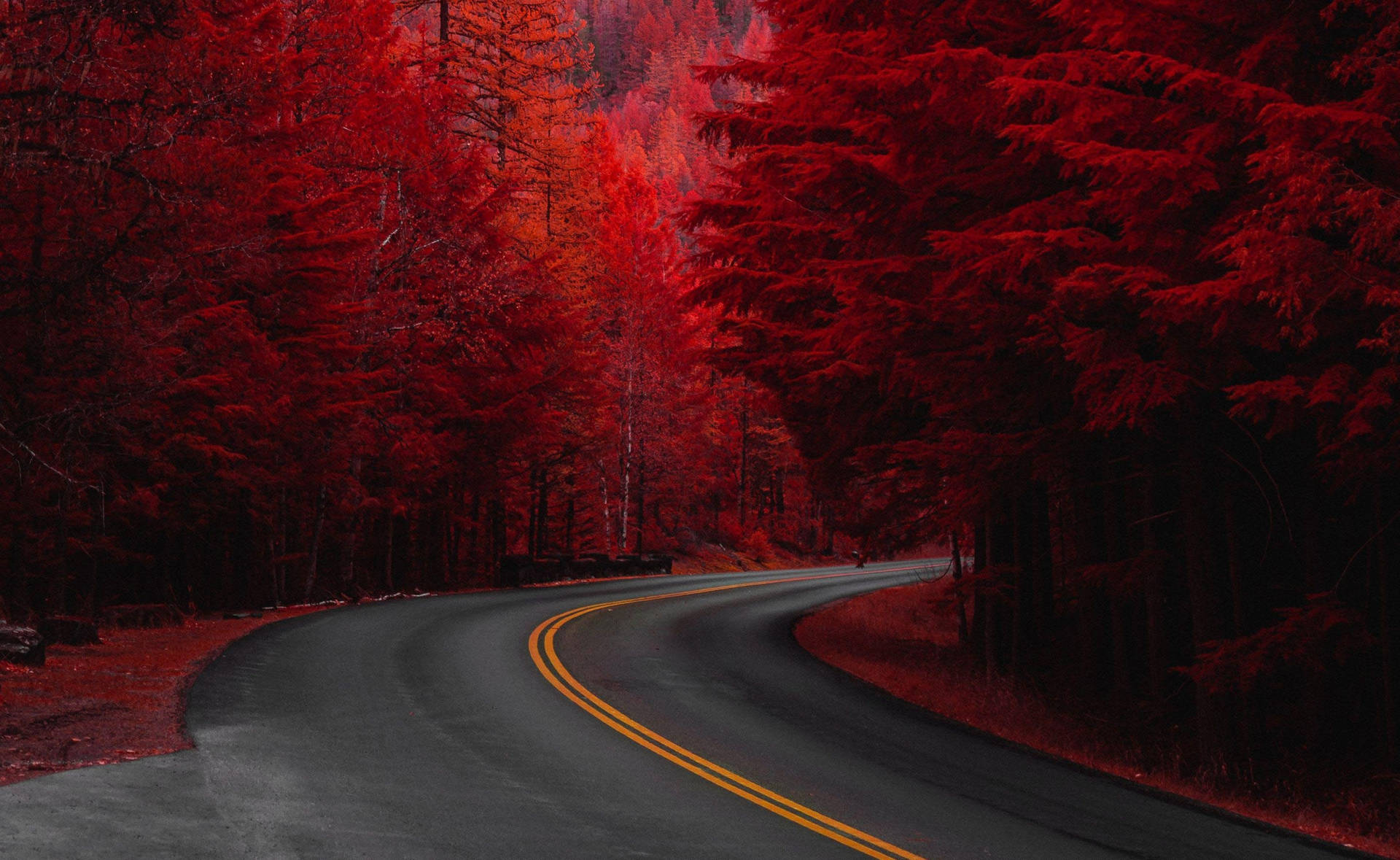 Download Red Fall Aesthetic Road Wallpaper