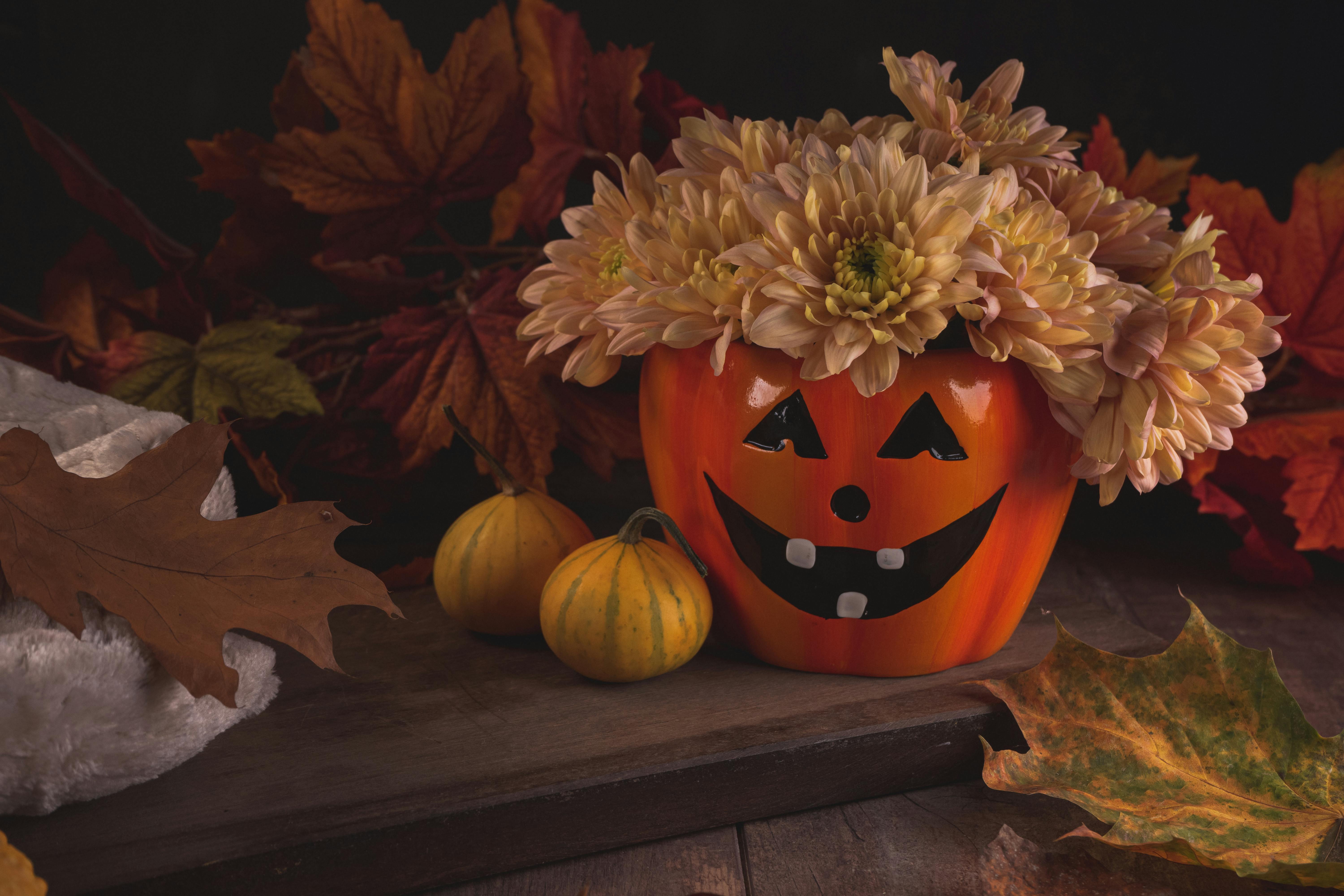 Autumn Still Life with Pumpkin · Free
