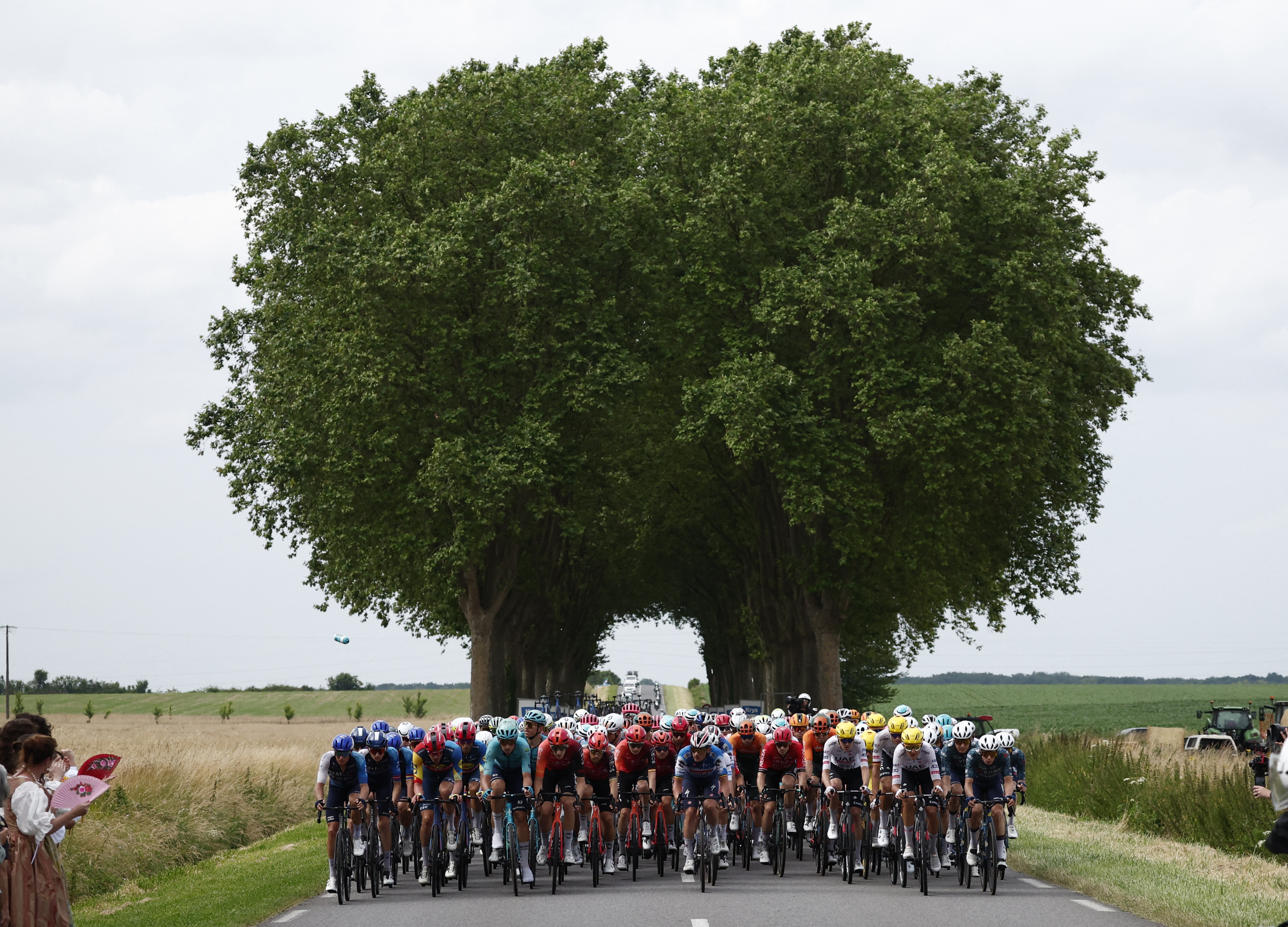 In picture: Best of the Tour de France