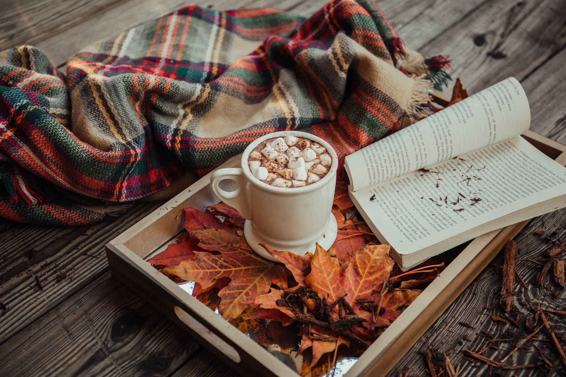 Cozy Autumn Picture