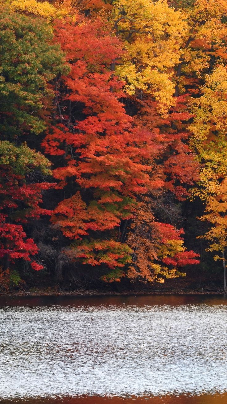 Free HD wallpaper for desktop, ipad