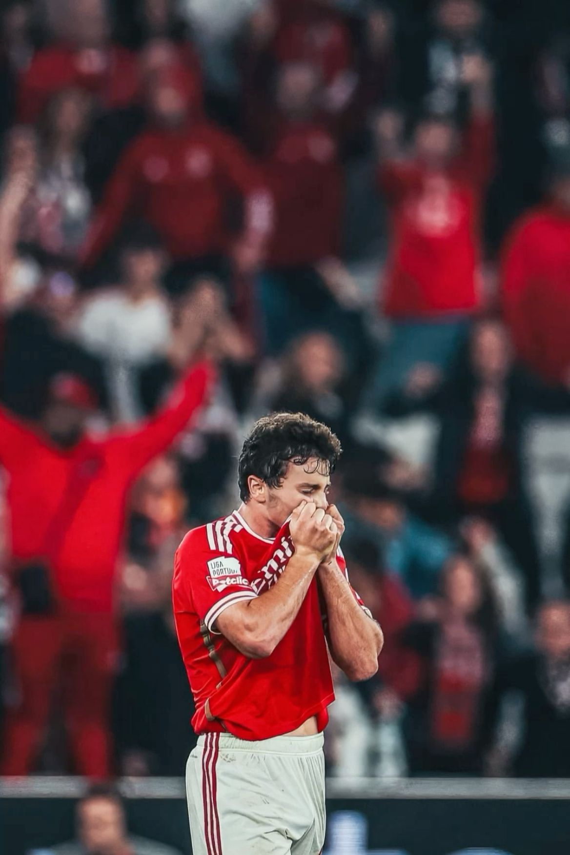 benfica wallpaper, benfica campeao