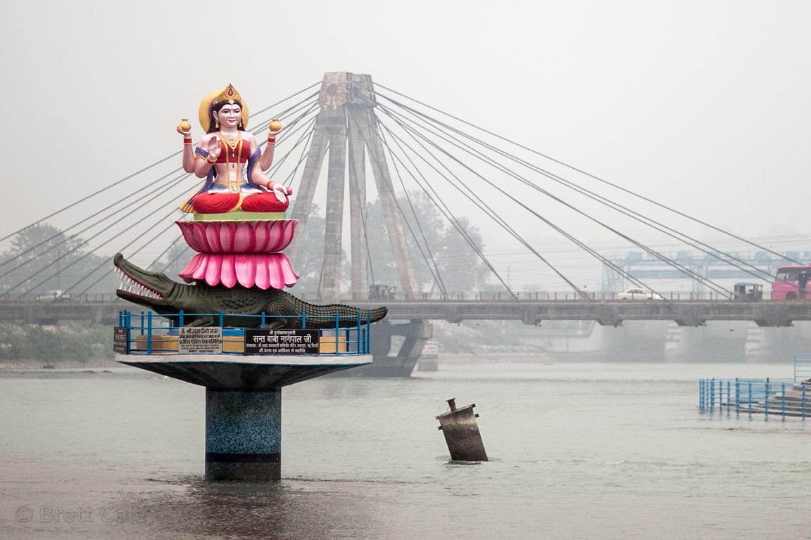 Brett Cole Photography