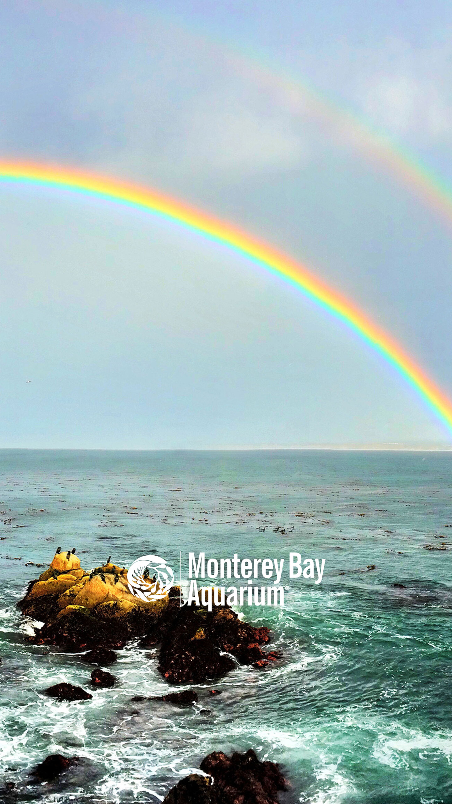 Rainbows over Monterey Bay wallpaper