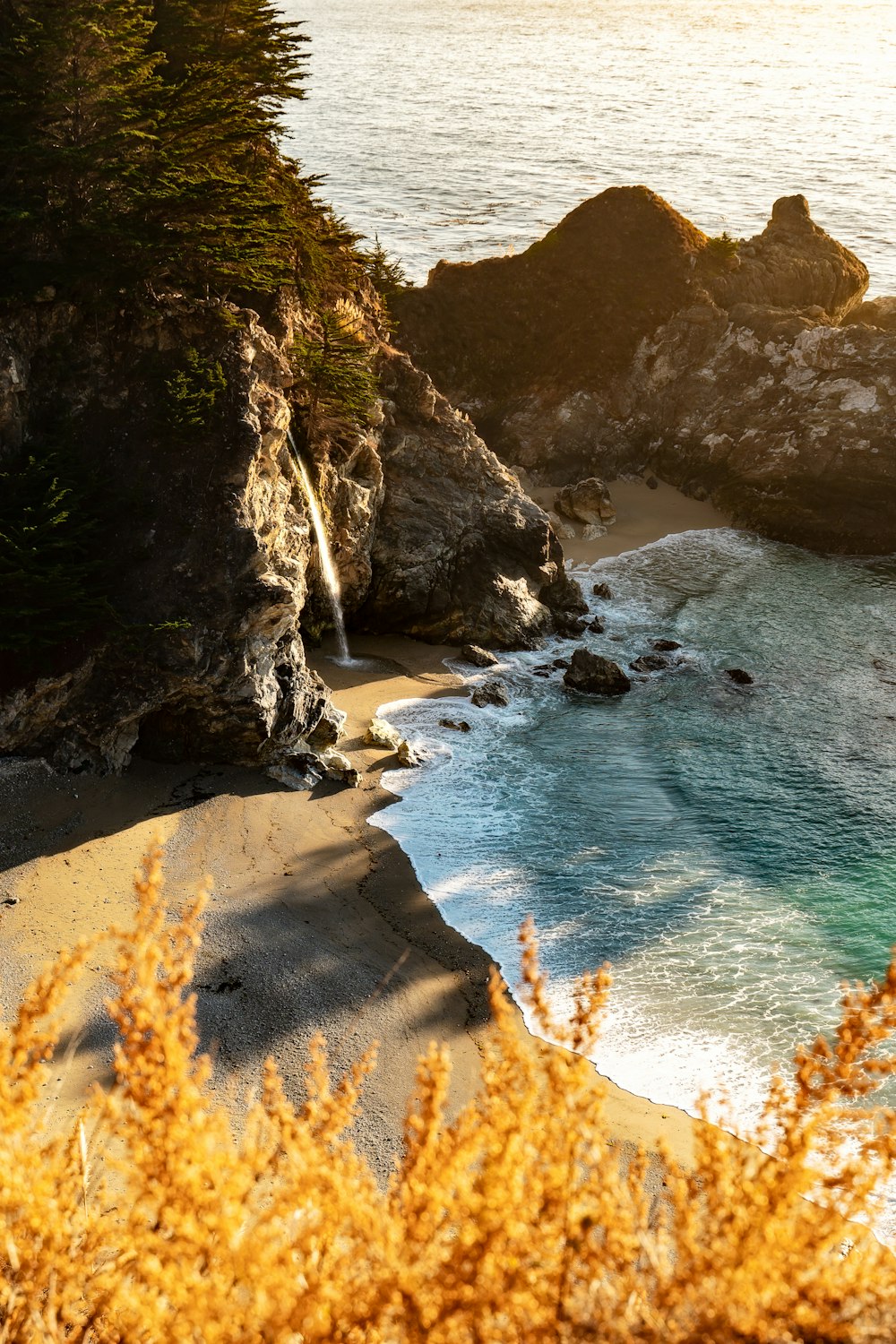 Trees beside beach photo