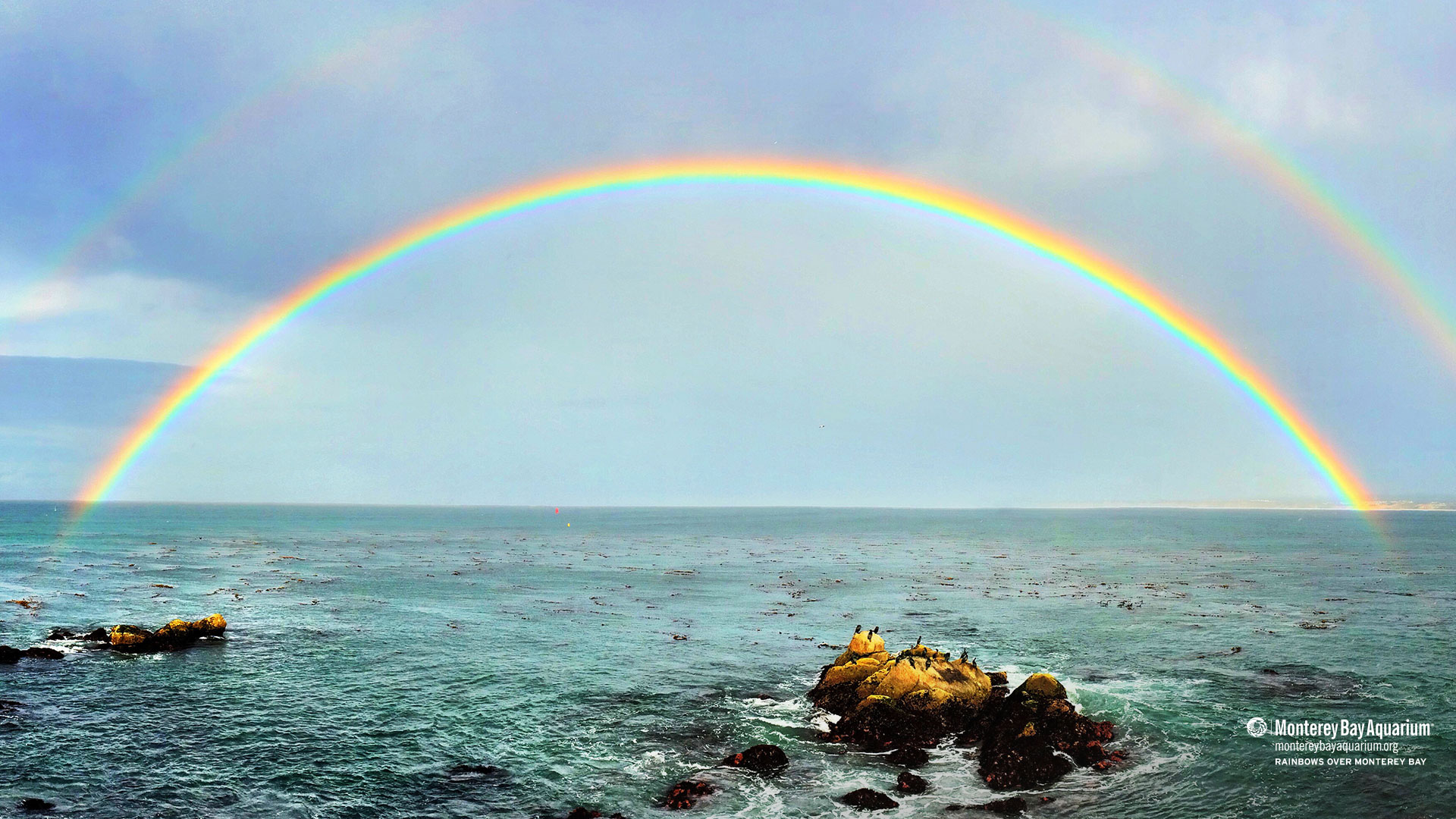 Rainbows over Monterey Bay wallpaper