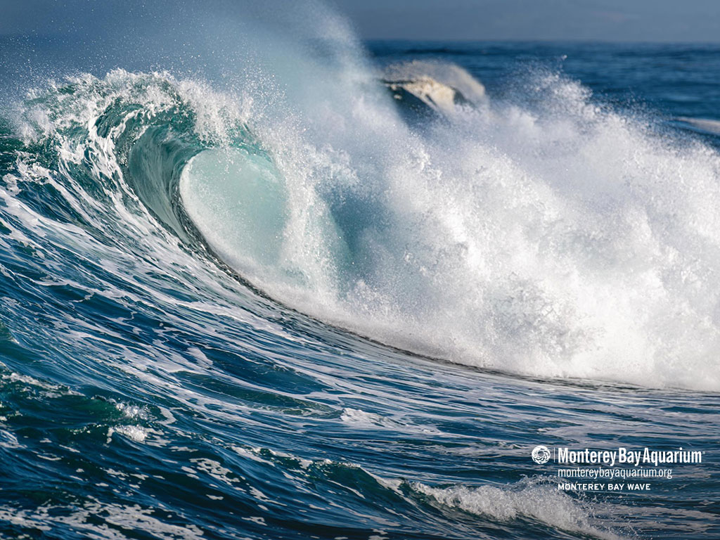 Monterey Bay wave wallpaper from